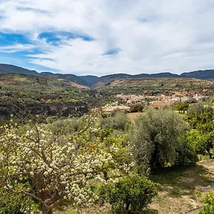 Casilla De Adela Albuñuelas